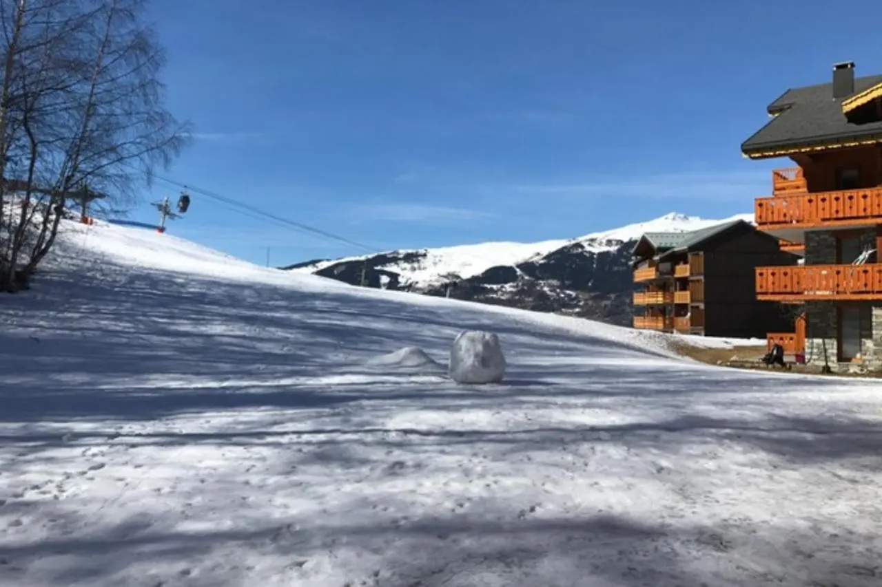 Chalet De Montalbert 22B La Plagne 0*,  France